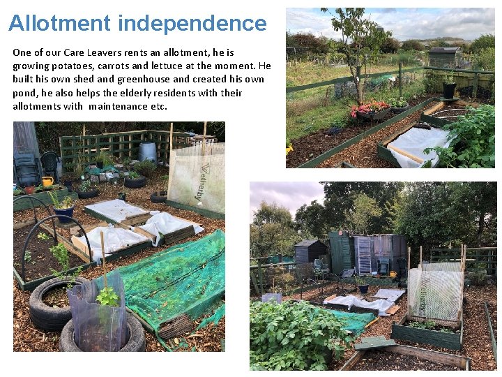 Allotment independence One of our Care Leavers rents an allotment, he is growing potatoes,