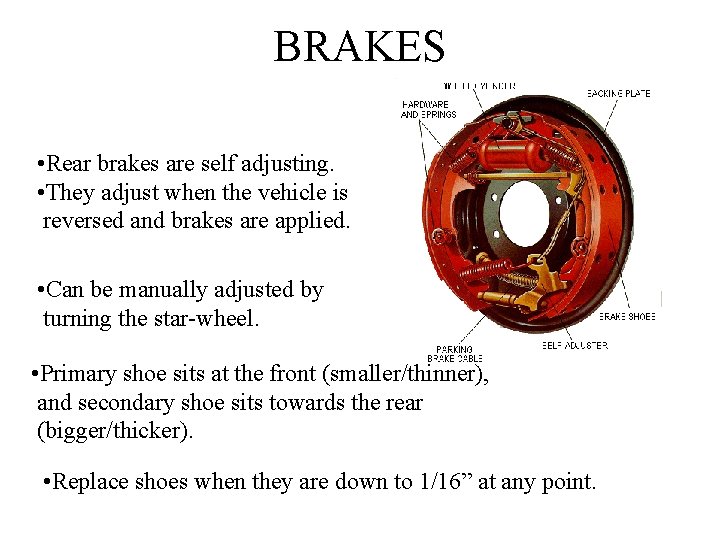 BRAKES • Rear brakes are self adjusting. • They adjust when the vehicle is