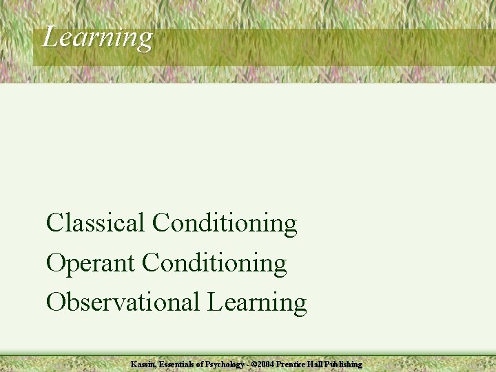 Learning Classical Conditioning Operant Conditioning Observational Learning Kassin, Essentials of Psychology - © 2004