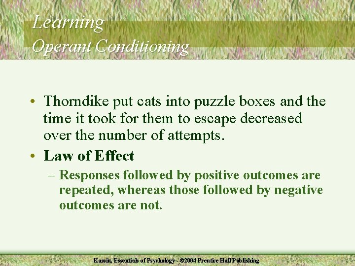 Learning Operant Conditioning • Thorndike put cats into puzzle boxes and the time it