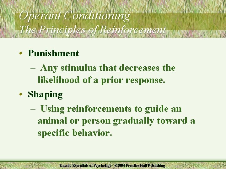 Operant Conditioning The Principles of Reinforcement • Punishment – Any stimulus that decreases the