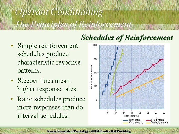Operant Conditioning The Principles of Reinforcement Schedules of Reinforcement • Simple reinforcement schedules produce