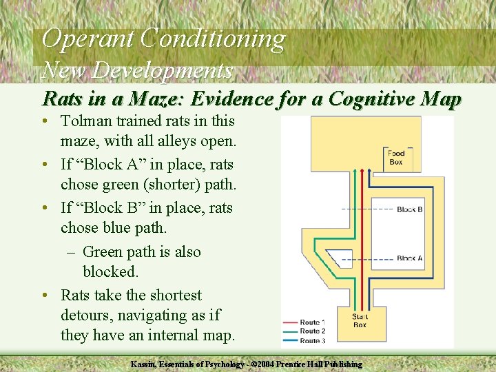 Operant Conditioning New Developments Rats in a Maze: Evidence for a Cognitive Map •