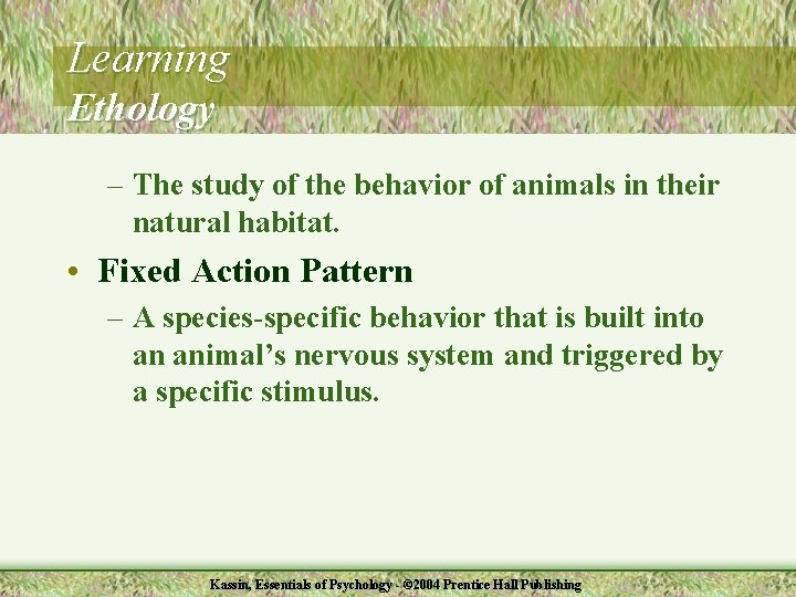 Learning Ethology – The study of the behavior of animals in their natural habitat.