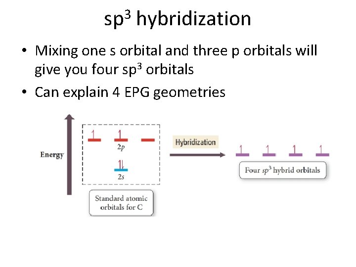 sp 3 hybridization • Mixing one s orbital and three p orbitals will give