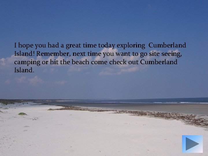 I hope you had a great time today exploring Cumberland Island! Remember, next time