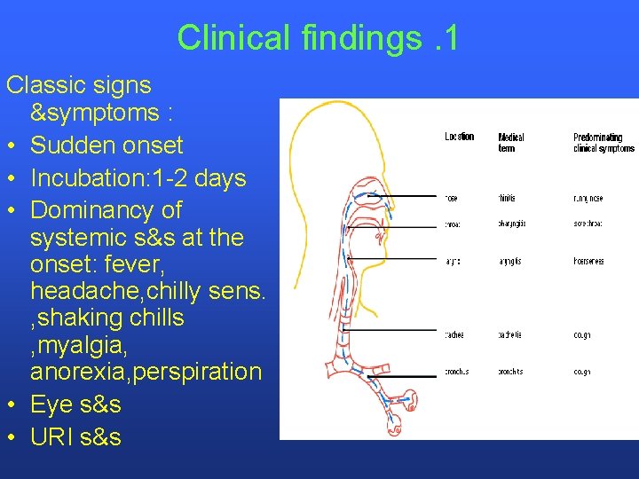 Clinical findings. 1 Classic signs &symptoms : • Sudden onset • Incubation: 1 -2