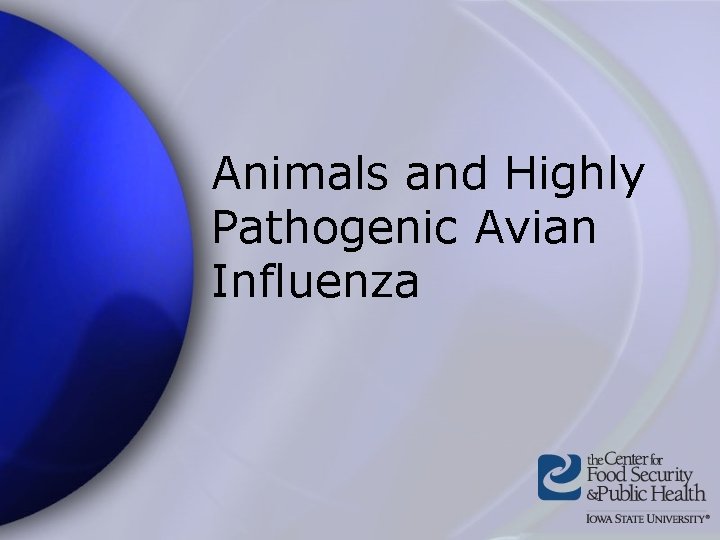 Animals and Highly Pathogenic Avian Influenza 