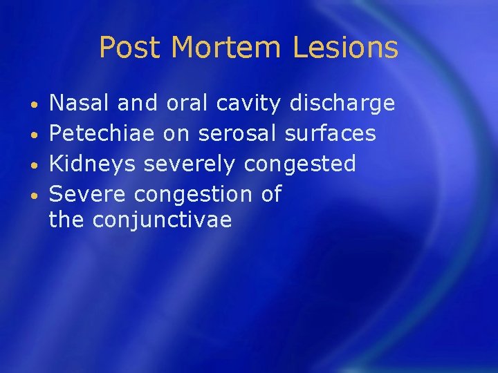 Post Mortem Lesions Nasal and oral cavity discharge • Petechiae on serosal surfaces •