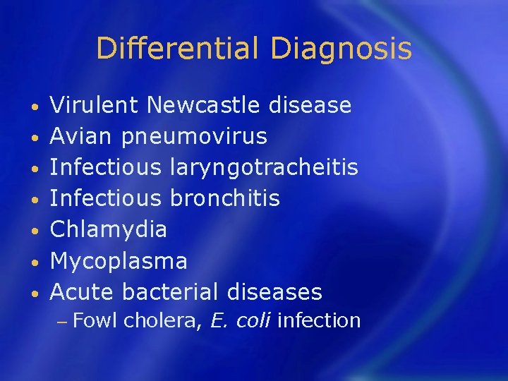 Differential Diagnosis • • Virulent Newcastle disease Avian pneumovirus Infectious laryngotracheitis Infectious bronchitis Chlamydia