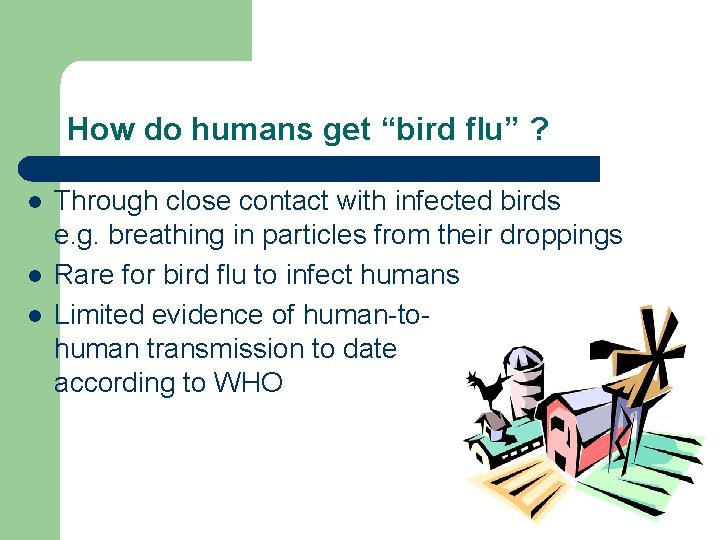How do humans get “bird flu” ? l l l Through close contact with