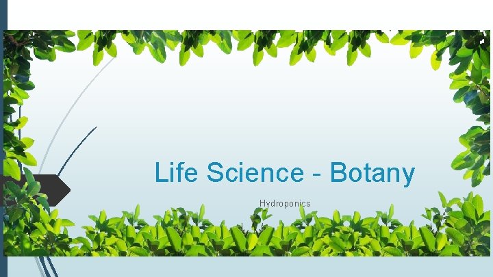 Life Science - Botany Hydroponics 