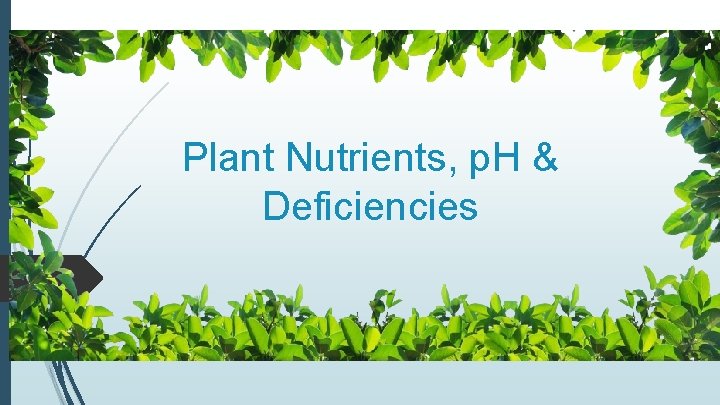 Plant Nutrients, p. H & Deficiencies 