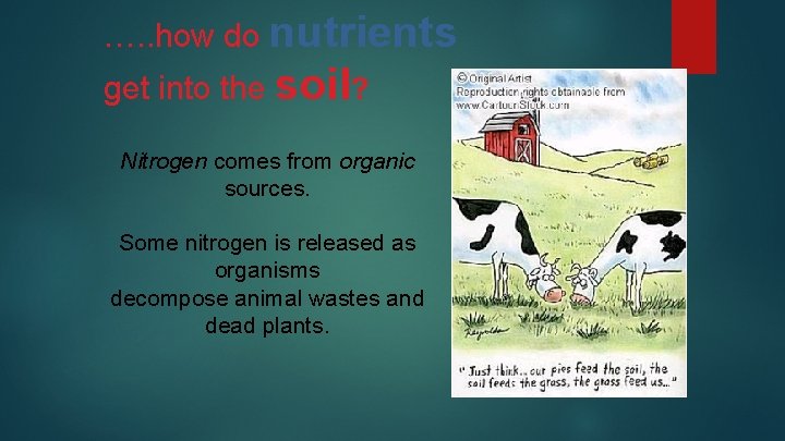 …. . how do nutrients get into the soil? Nitrogen comes from organic sources.