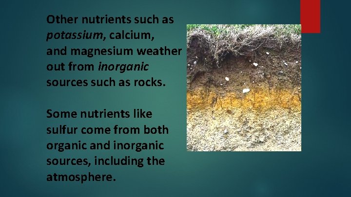 Other nutrients such as potassium, calcium, and magnesium weather out from inorganic sources such