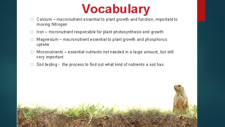 Vocabulary � Calcium – macronutrient essential to plant growth and function, important to moving