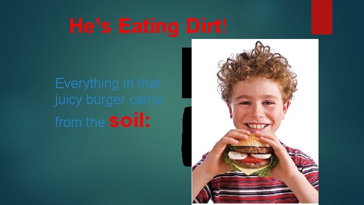 He’s Eating Dirt! Everything in that juicy burger came from the soil: 