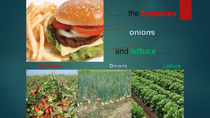 ……. the tomatoes, onions and lettuce…… Tomatoes Onions Lettuce 