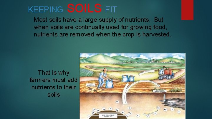 KEEPING SOILS FIT Most soils have a large supply of nutrients. But when soils