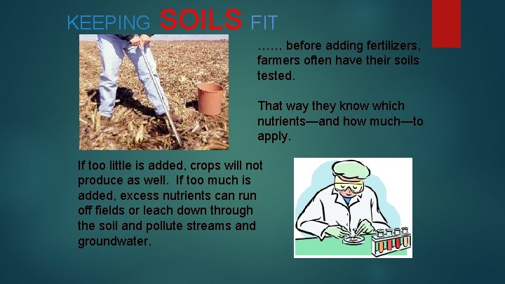 KEEPING SOILS FIT …… before adding fertilizers, farmers often have their soils tested. That