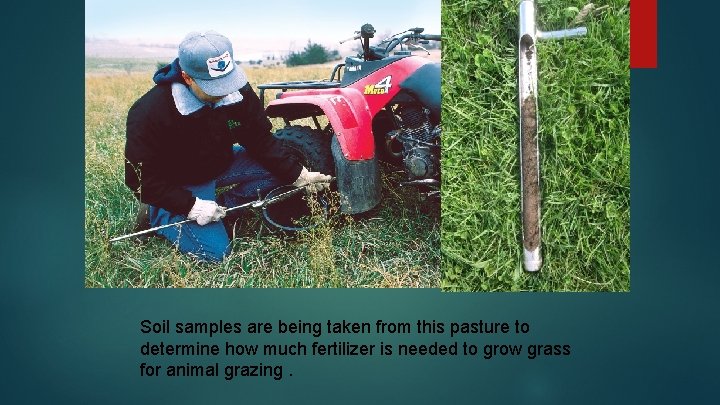 Soil samples are being taken from this pasture to determine how much fertilizer is