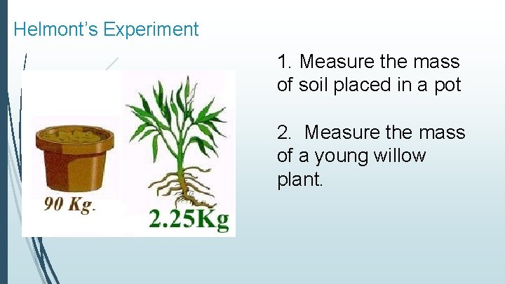 Helmont’s Experiment 1. Measure the mass of soil placed in a pot 2. Measure