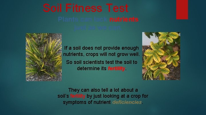 Soil Fitness Test Plants can lack nutrients just as we can. If a soil