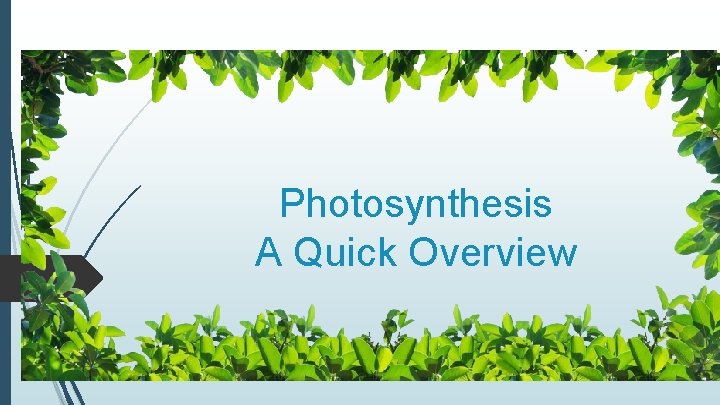 Photosynthesis A Quick Overview 