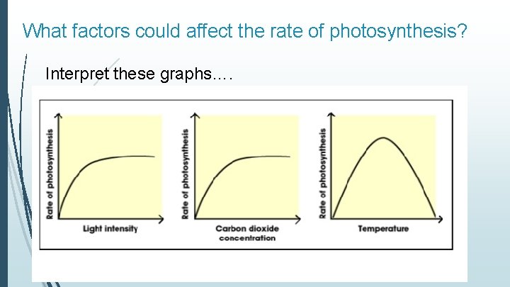 What factors could affect the rate of photosynthesis? Interpret these graphs…. 