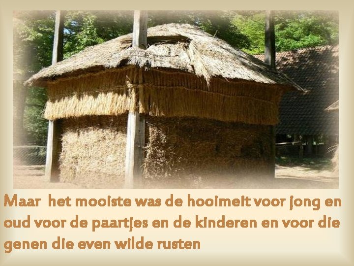 Maar het mooiste was de hooimeit voor jong en oud voor de paartjes en