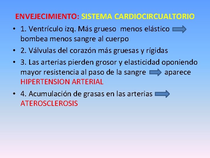 ENVEJECIMIENTO: SISTEMA CARDIOCIRCUALTORIO • 1. Ventrículo izq. Más grueso menos elástico bombea menos sangre