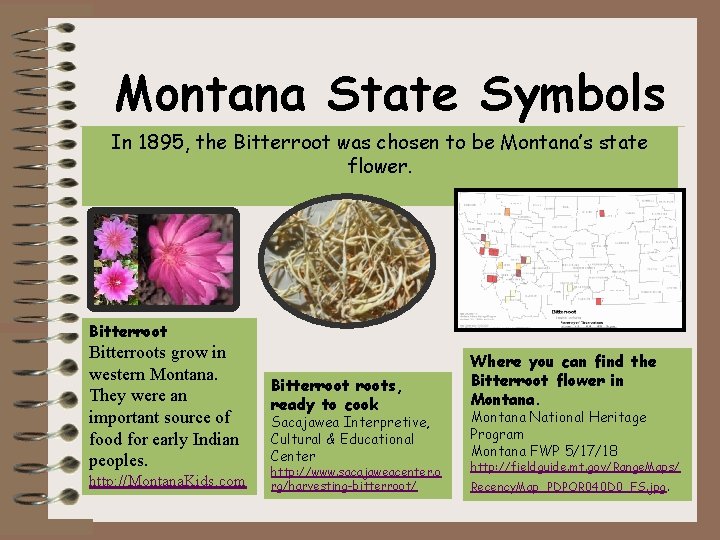 Montana State Symbols In 1895, the Bitterroot was chosen to be Montana’s state flower.