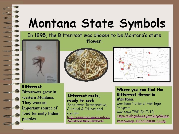 Montana State Symbols In 1895, the Bitterroot was chosen to be Montana’s state flower.