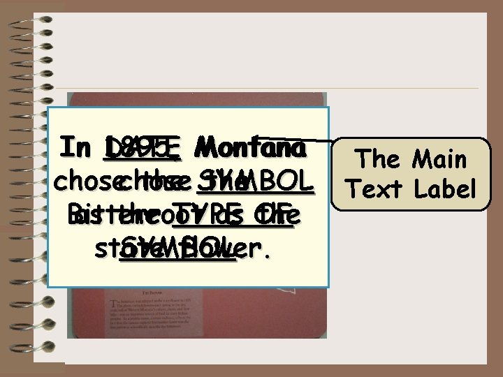 In 1895, DATE Montana the chose the SYMBOL Bitterroot as OF the as the