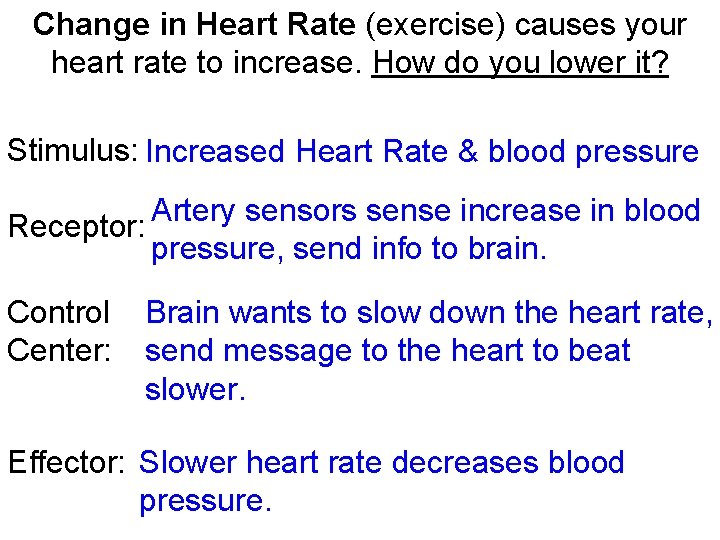 Change in Heart Rate (exercise) causes your heart rate to increase. How do you