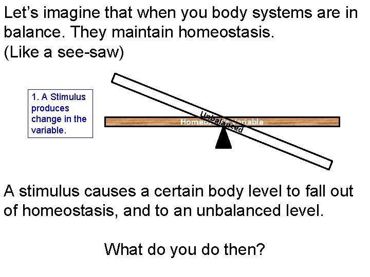 Let’s imagine that when you body systems are in balance. They maintain homeostasis. (Like