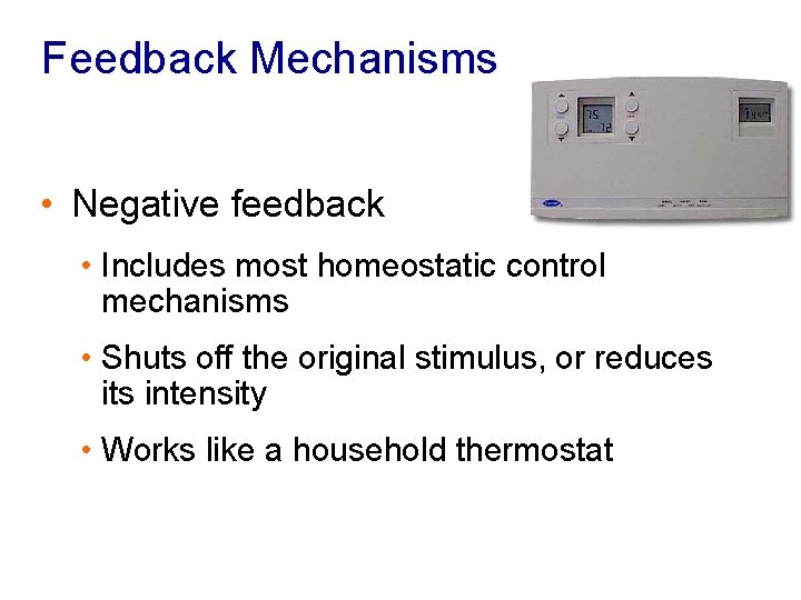 Feedback Mechanisms • Negative feedback • Includes most homeostatic control mechanisms • Shuts off