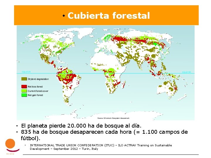  • Cubierta forestal • • El planeta pierde 20. 000 ha de bosque