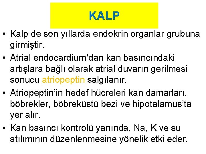 KALP • Kalp de son yıllarda endokrin organlar grubuna girmiştir. • Atrial endocardium’dan kan