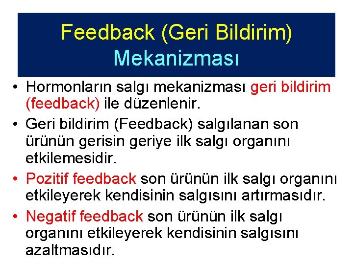 Feedback (Geri Bildirim) Mekanizması • Hormonların salgı mekanizması geri bildirim (feedback) ile düzenlenir. •
