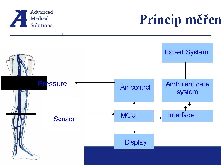 Princip měřen Expert System Pressure Senzor Air control MCU Display January 25, 2007 Ambulant