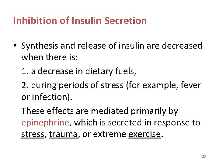 Inhibition of Insulin Secretion • Synthesis and release of insulin are decreased when there