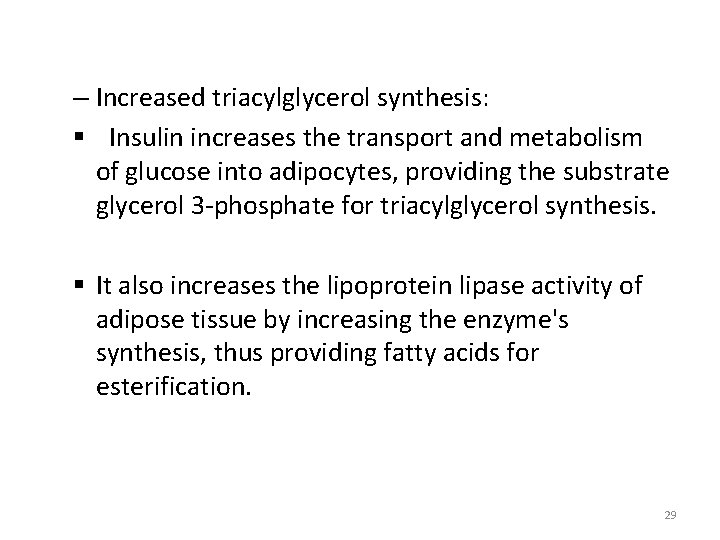 – Increased triacylglycerol synthesis: § Insulin increases the transport and metabolism of glucose into