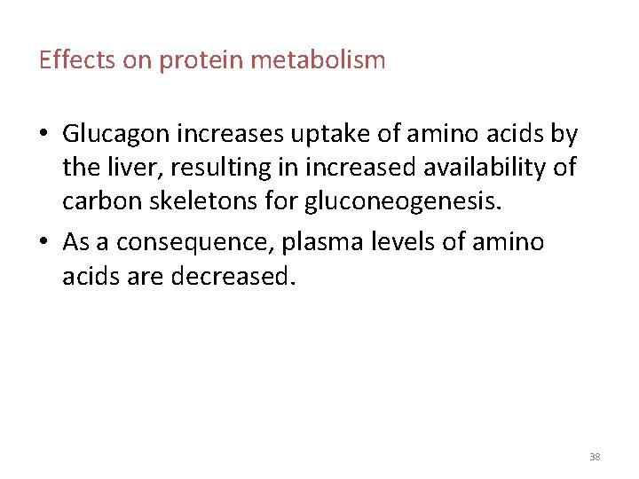 Effects on protein metabolism • Glucagon increases uptake of amino acids by the liver, Effects on protein metabolism • Glucagon increases uptake of amino acids by the liver,