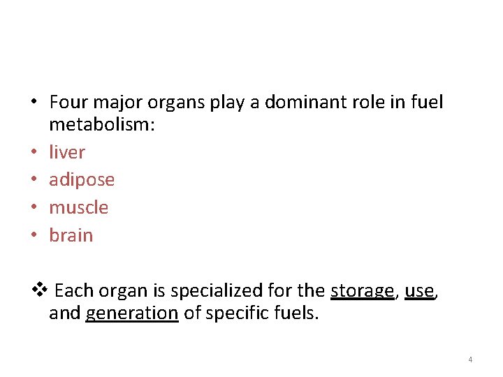  • Four major organs play a dominant role in fuel metabolism: • liver