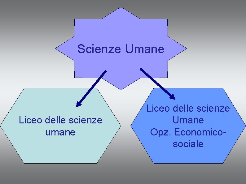 Scienze Umane Liceo delle scienze umane Liceo delle scienze Umane Opz. Economicosociale Scienze Umane Liceo delle scienze umane Liceo delle scienze Umane Opz. Economicosociale