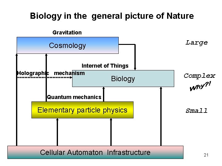 Biology in the general picture of Nature Gravitation Large Cosmology Internet of Things Holographic