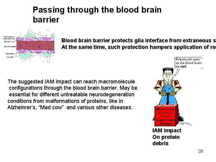 Passing through the blood brain barrier Blood brain barrier protects glia interface from extraneous