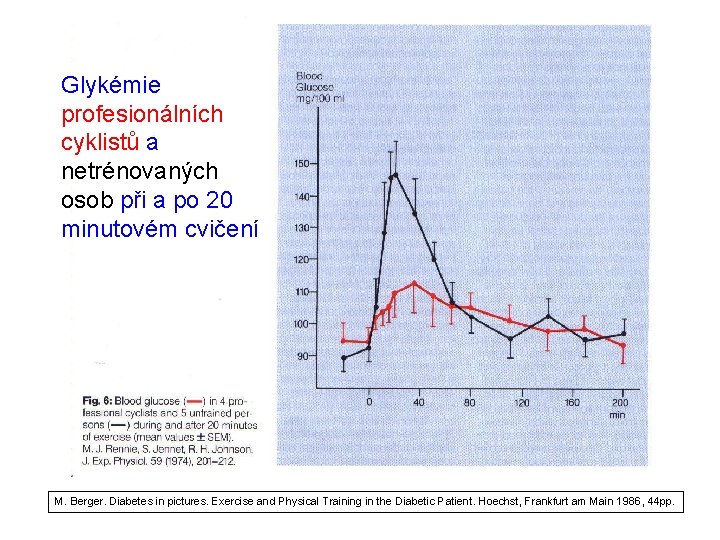 Glykémie profesionálních cyklistů a netrénovaných osob při a po 20 minutovém cvičení M. Berger.