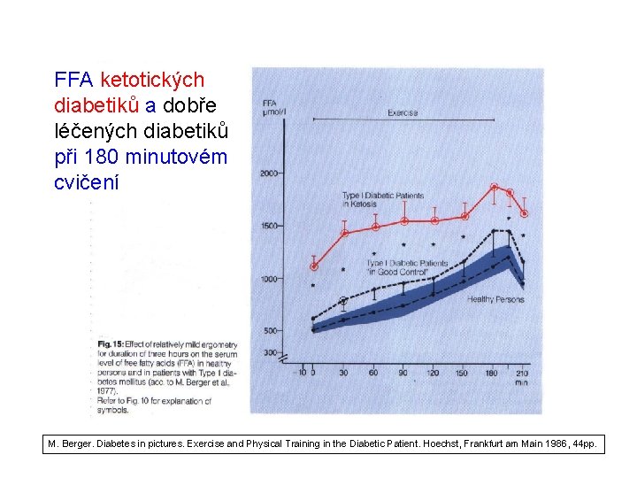 FFA ketotických diabetiků a dobře léčených diabetiků při 180 minutovém cvičení M. Berger. Diabetes